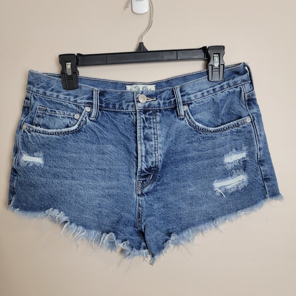 We The Free Free People Distressed Shorts Size 28